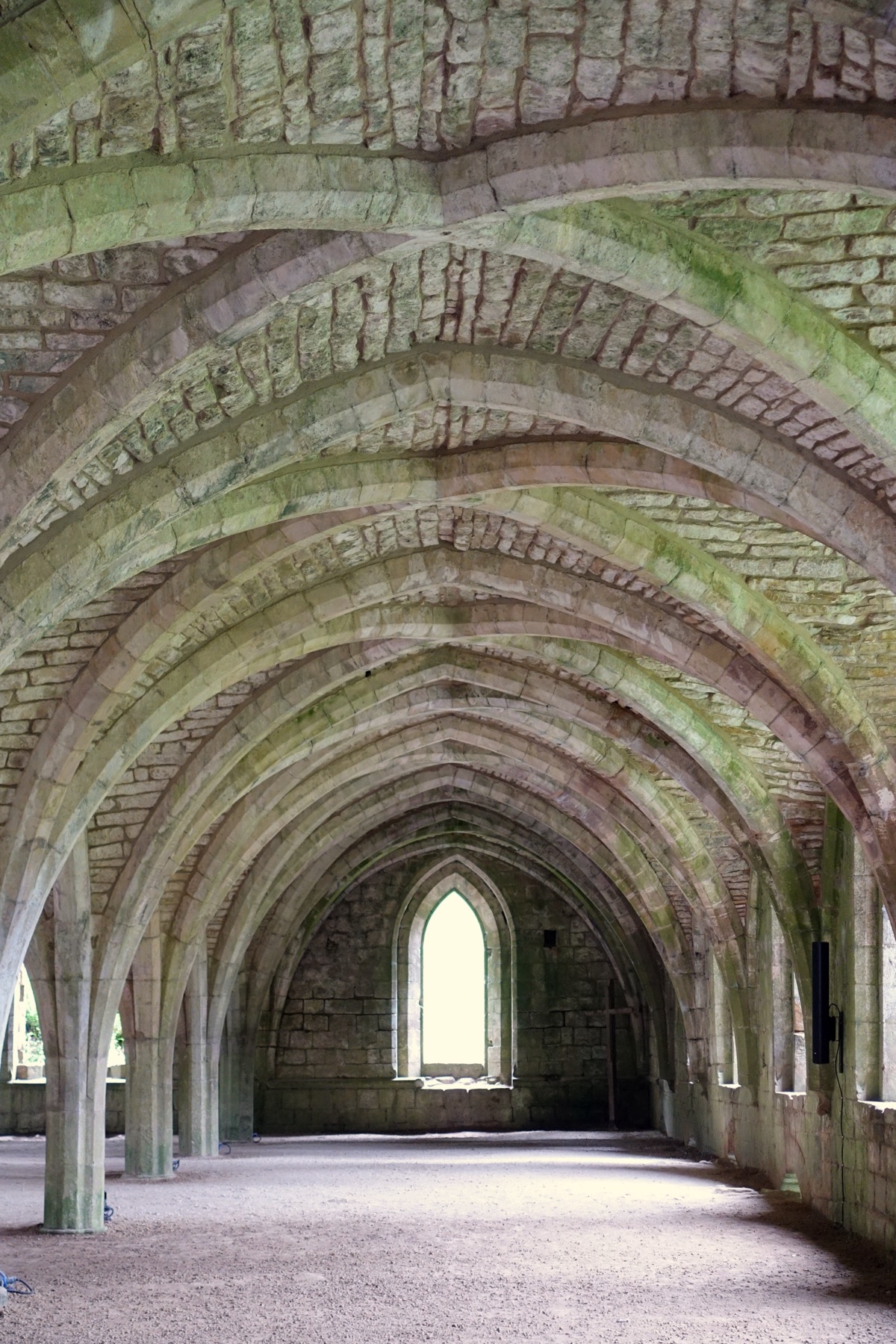 Fountains Abbey undercroft, ribbed stone vaults receding into warm natural light